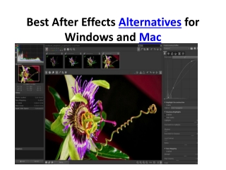 Best After Effects Alternatives for Windows and Mac