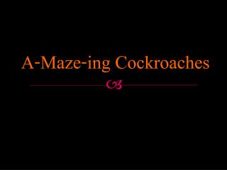 A-Maze-ing Cockroaches