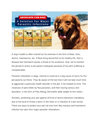 Advocate for Dogs - Best Treatment for Parasitic Infections
