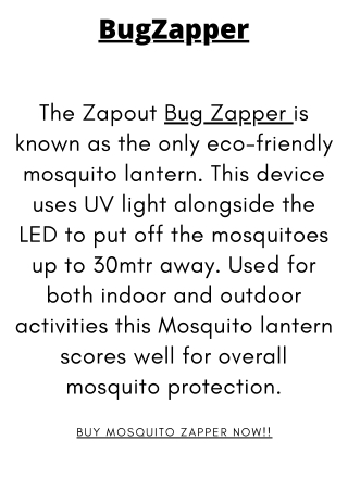 BUG ZAPPER