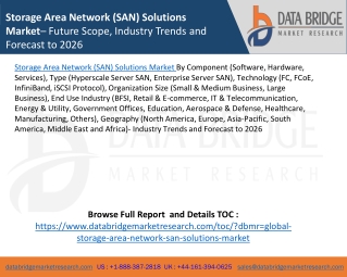 Storage Area Network (SAN) Solutions Market– Future Scope, Industry Trends and Forecast to 2026