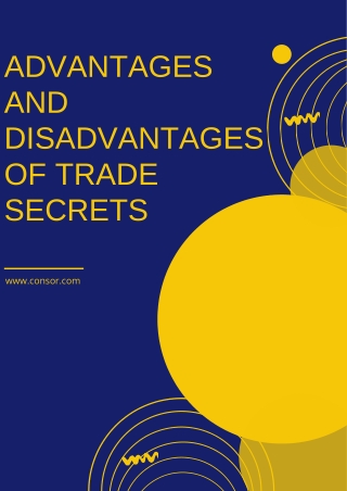 Advantages and Disadvantages of TRADE SECRETS