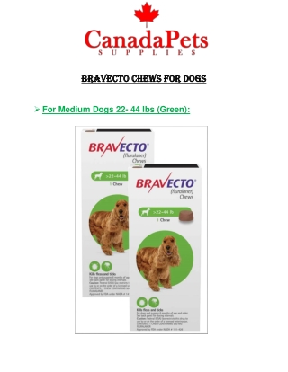Bravecto for Medium Dogs 22- 44 lbs (Green) - CanadaPetsSupplies