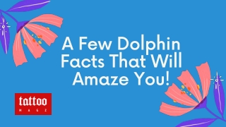 A Few Dolphin Facts That Will Amaze You!