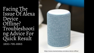 Alexa Device Offline 1-8007956963 Echo Dot Offline | Alexa Device Unresponsive