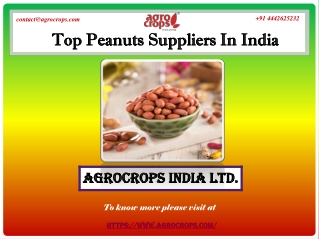 Top Peanuts Suppliers In India