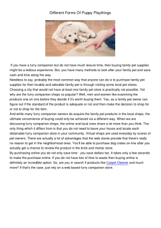 Different Forms Of Puppy Plaything