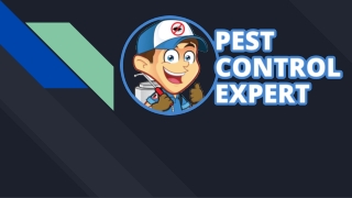 Pest Inspection Services - Pest Control Expert