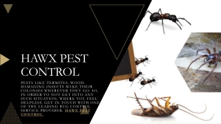 HAWX PEST CONTROL