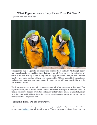 What Types of Parrot Toys Does Your Pet Need?