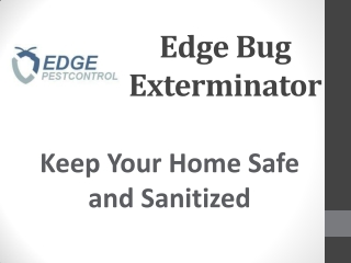 Edge Bug Exterminator