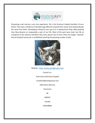 Affordable Animal Hospital Vancouver | Point Grey Veterinary Hospital Vancouver