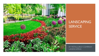 Affordable Landscaping Services In Silver Spring MD
