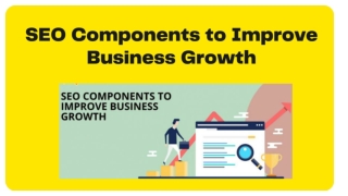 SEO Components to Improve Business Growth