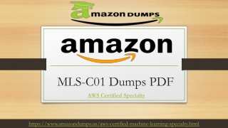 Latest Amazon MLS-C01 Dumps-Confirmed By Expert Panel |AmazonDumps.us