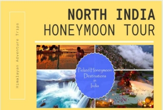 Honeymoon Tour Packages - Book Honeymoon Special Tour Packages