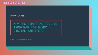 Why PPC Reporting Tool Is Important For Every Digital Marketer?