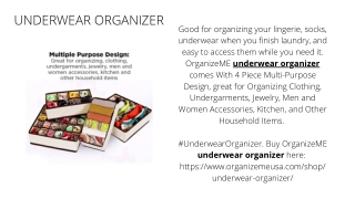 Underwear Organizer