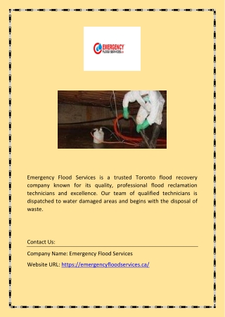 Sewage Cleanup Best Service in Toronto| emergencyfloodservices.ca