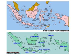 Brief Introduction: Indonesia