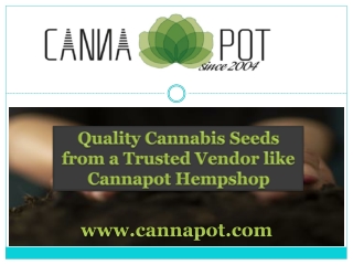 Quality Cannabis Seeds from a Trusted Vendor like Cannapot Hempshop