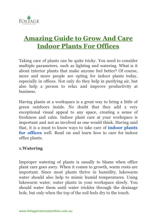 Amazing Guide to Grow And Care Indoor Plants For Offices