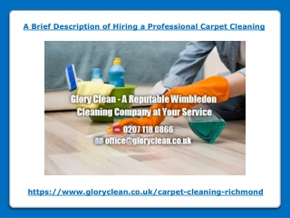 A Brief Description of Hiring a Professional Carpet Cleaning