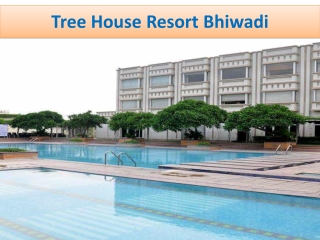 Best Weekend Getaway from Jaipur - Tree House Resort Bhiwadi