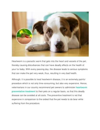 6 Questions about Heartworm Disease that Every Pet Owner should Know