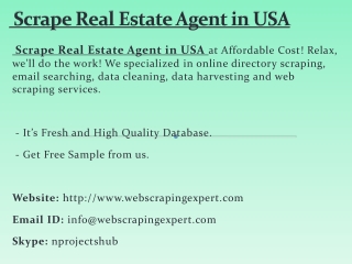 Scrape Real Estate Agent in USA