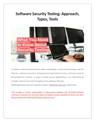 Software Security Testing: Approach, Types, Tools