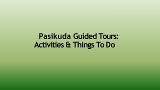 Pasikuda Day tour