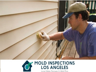 mold inspection in LA