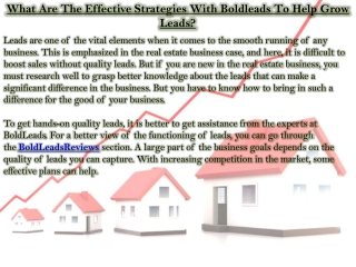 What Are The Effective Strategies With Boldleads To Help Grow Leads?