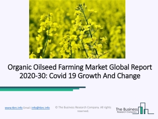 Organic Oilseed Farming Market Forecast to 2030 | Covid 19 Growth And Change