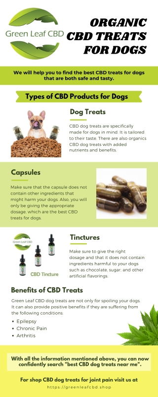 Best Organic CBD Treats for Dogs at Green Leaf CBD