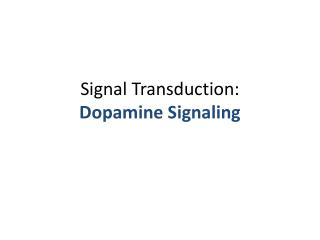 Signal Transduction: Dopamine Signaling