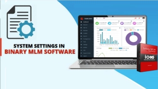 System Settings In Binary MLM Software - free Binary MLM Software Demo