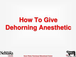 How To Give Dehorning Anesthetic