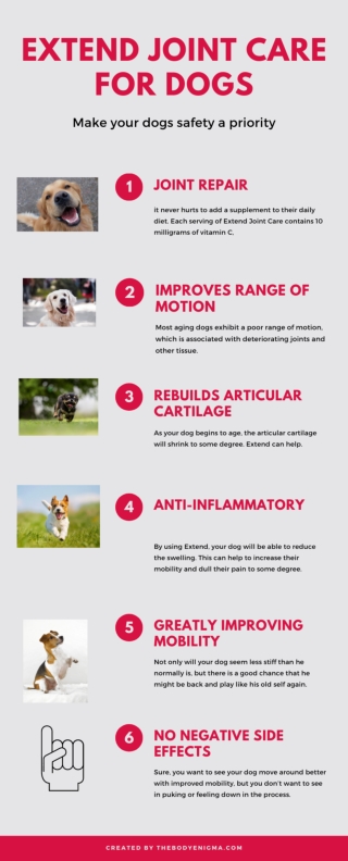 Joint Supplements For Dogs - Can They Help My Dog?