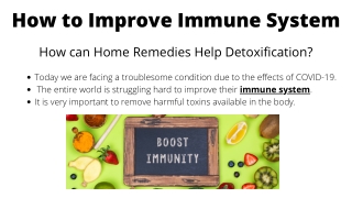 How to Improve Immune System