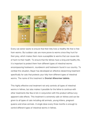 Everything you need to know about Drontal Allwormer for Cats