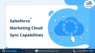 Salesforce Marketing Cloud Sync Capabilities