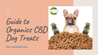 A Beginner's Guide to Organics CBD Dog Treats | Green Leaf CBD