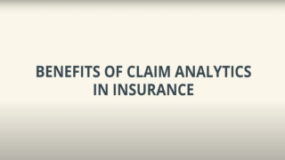 Insurance Claim Data