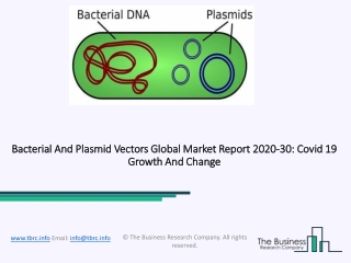Bacterial And Plasmid Vectors Market Analysis and Forecast Report 2030