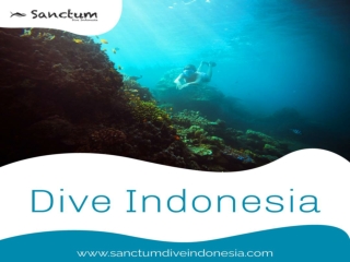 Dive Indonesia