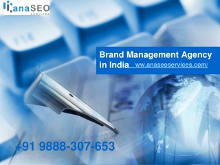 Brand Management Agency in India - www.anaseoservices.com