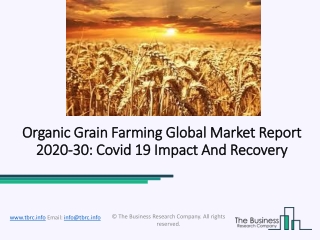 Global Organic Grain Farming Market Growth Factors and Dynamic Demand By 2023