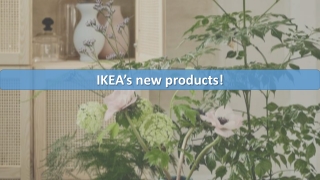 New products and collections - IKEA Qatar